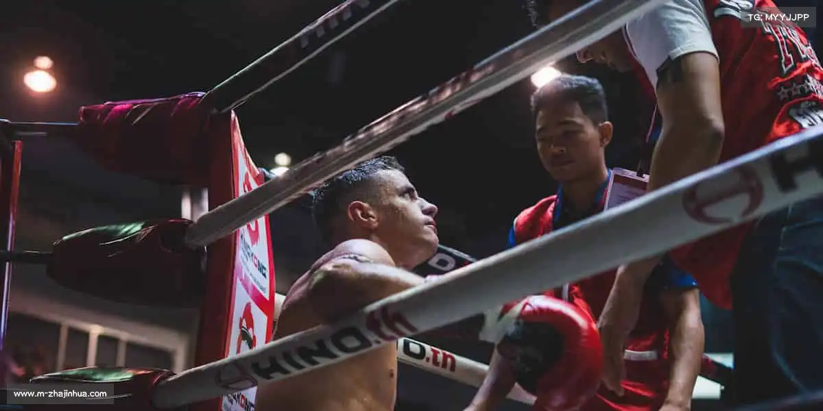 炸金花游戏——🎯射箭屏息，精准命中你的热爱🎯